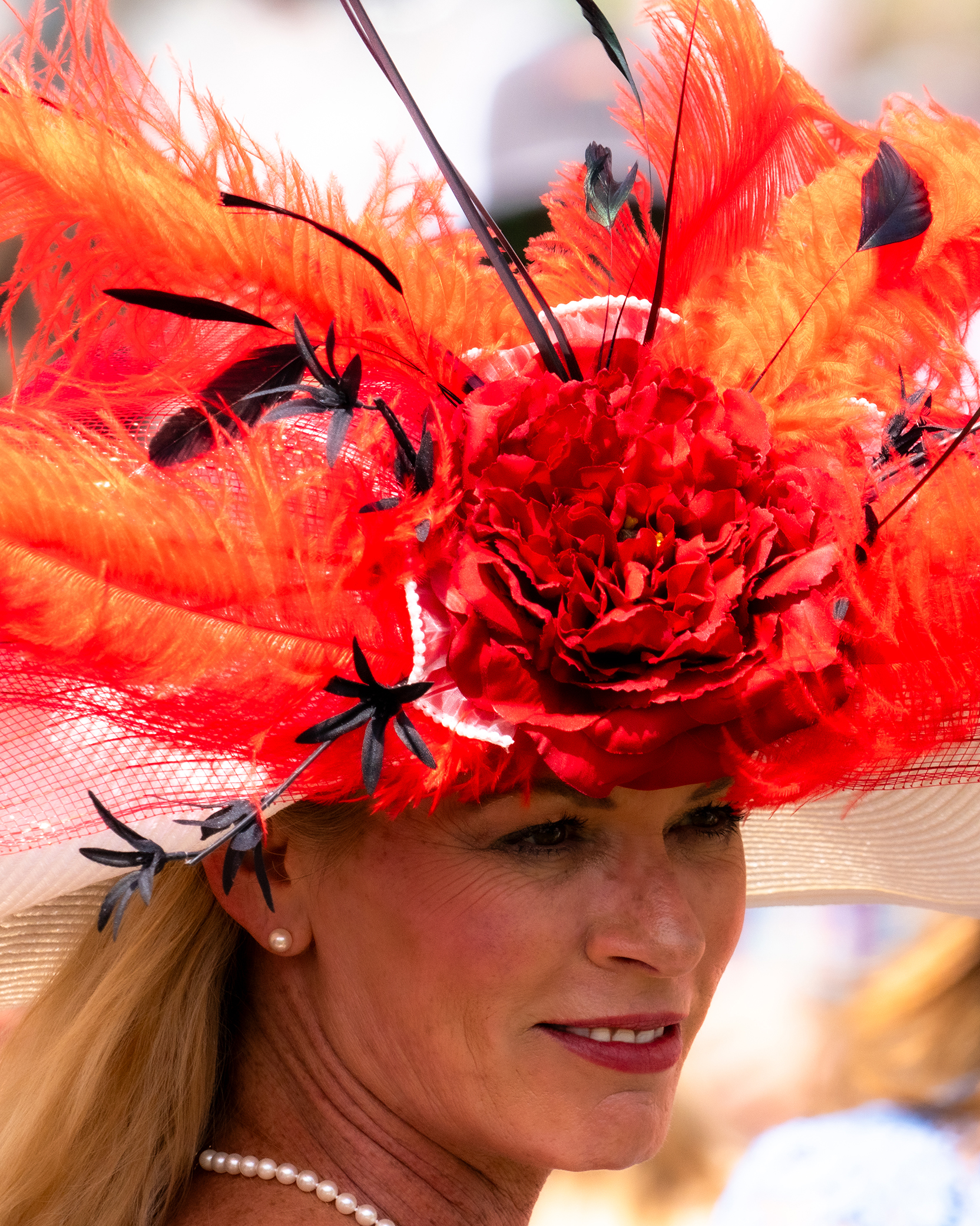 Red, Flowers and Feathers